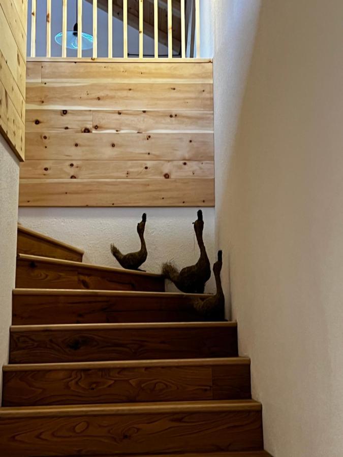 Apartamento Luech Dl Finatzer San Martino in Badia Exterior foto